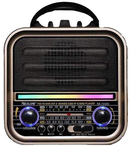 Golon Portable Radio, Bluetooth & USB Support, Rechargeable Battery, Black , (1 Month Warranty), RX-730D