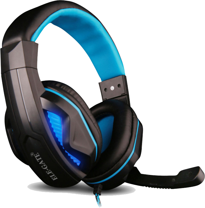 ELE-GATE Wired Headphone, RGB Lighting, 3.5mm Connector, Black, DM-X5