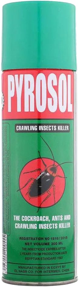 Pyrosol Crawling Insecticide, 300 ml, Green