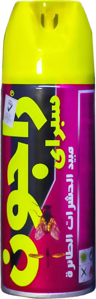 Ragon Spray Insecticide for Flying Insects, 250 ml, Violet