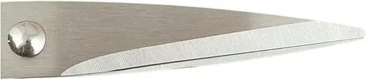 مقص ستانلس ستيل الشيف، اسود في فضي