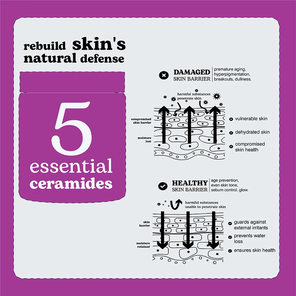 Beesline Ceramide & Peptide 76 Moisturizing Anti-Wrinkle Skin Barrier Protection Cream, 50Ml