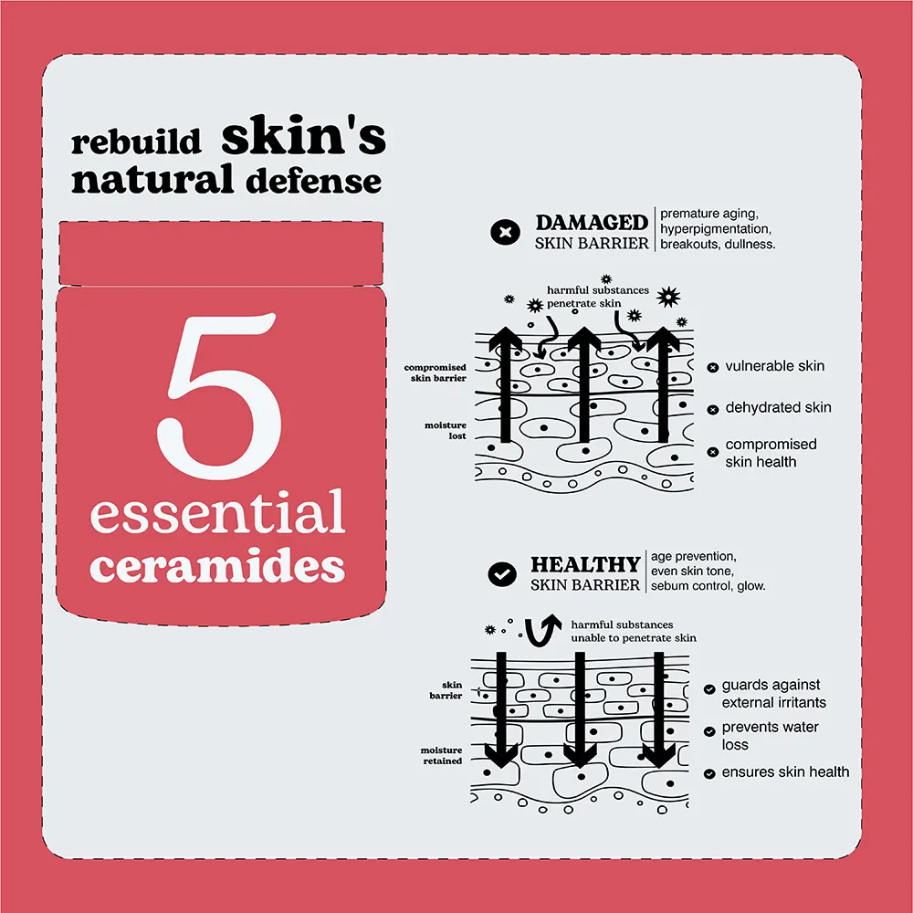 Beesline Adaptogen Ceramide & Peptide 59 Moisturizing & Skin Barrier Protection Cream, 50ml