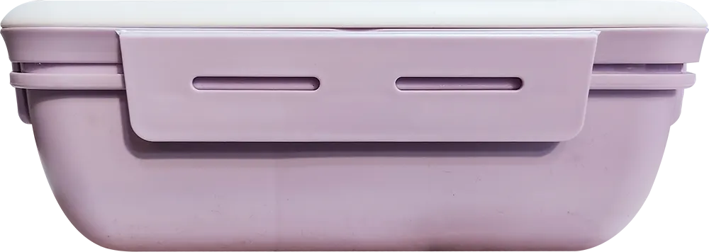 Lunch Box, 1100ml, Divided, with Fork and Spoon,  Multicolor, Model 862