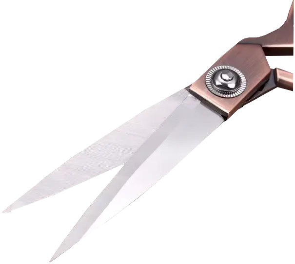 Stainless Steel Scissors, Gold