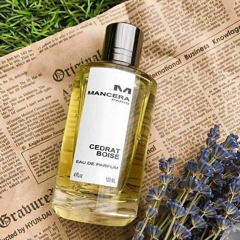 Paris Cedrat Boise By Mancera  For Unisex Edp , 120 Ml
