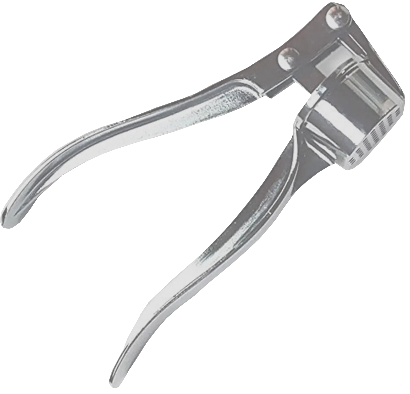 Stainless Steel Double Garlic Press Multi-Purpose , Silver