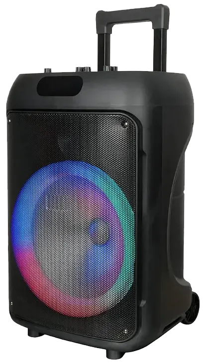 VOVO Wireless Speaker, 12 Inch, RGB Lighting, Digital Display, Remote Control, Wired Microphone, Black, V-1225