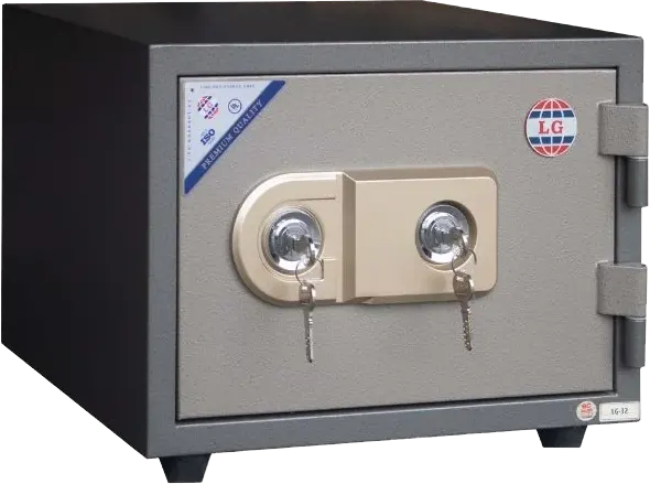 LG Vietnam Cash Safe, 2 Locks, Double Master Keys for Security, Fire Resistant, 32 x 42 x 37 cm, LG32K
