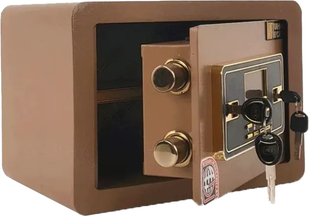 LG TurboTec Cash Safe, Advanced Digital and Mechanical Locking System, Steel Body, Drill-Resistant Door, 25×35×25 cm, LS 25