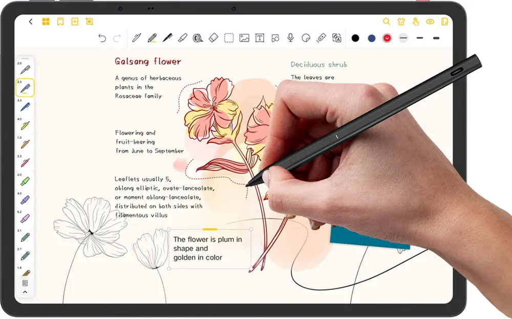 تابلت تي سي إل NXTPAPER 14، شاشة 14.3 بوصة، ذاكرة داخلية 256 جيجابايت، رامات 8 جيجابايت، واي فاي، رمادي