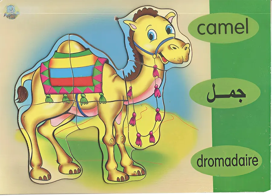 Puzzle 17x24, assorted shapes, 313