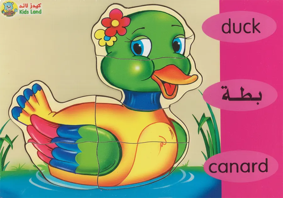 Puzzle 17x24, assorted shapes, 313