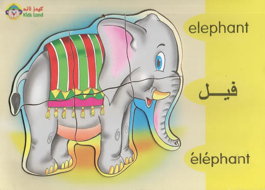 Puzzle 17x24, assorted shapes, 313