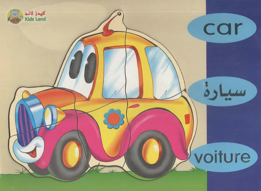 Puzzle 17x24, assorted shapes, 313