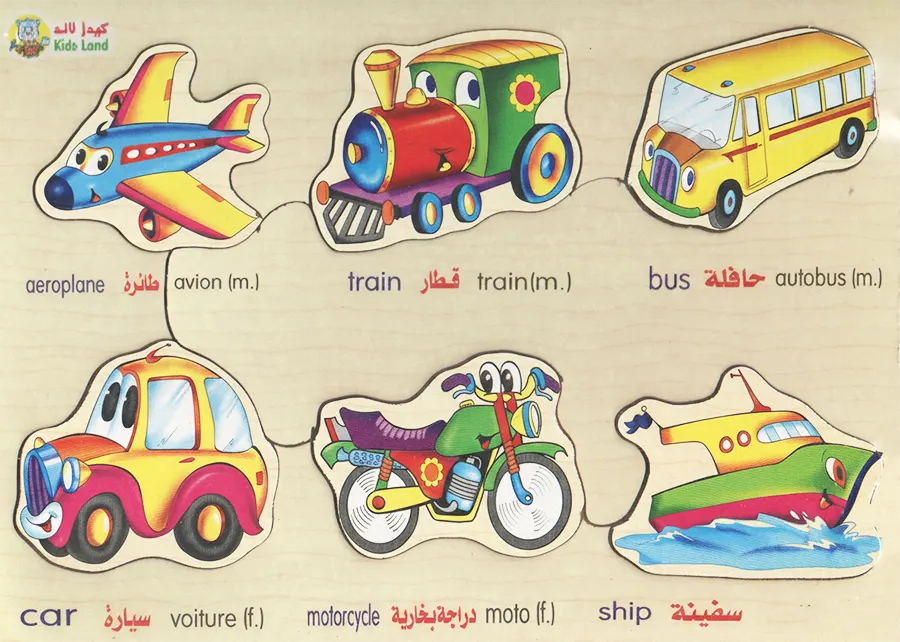 Puzzle 17x24, assorted shapes, 313