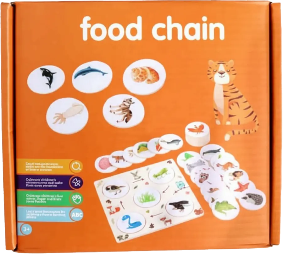 Cards showing the growth stages of various living organisms, 3063