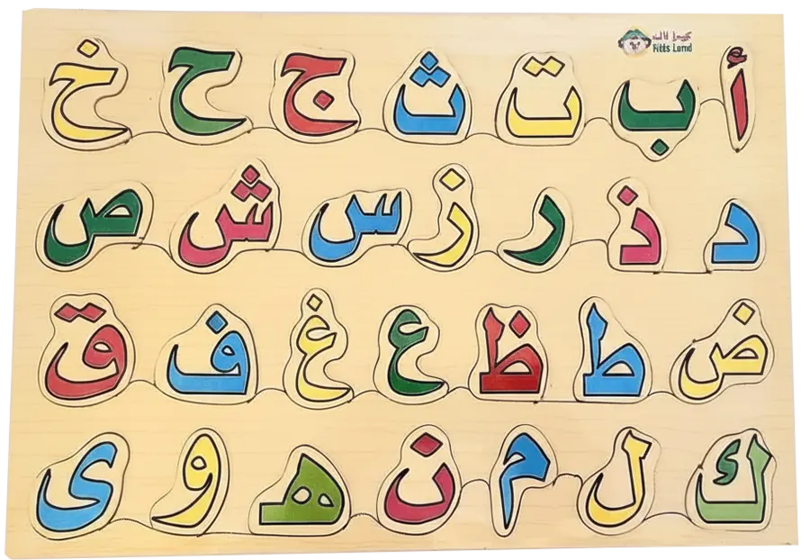 Puzzle 17x24, assorted shapes, 313