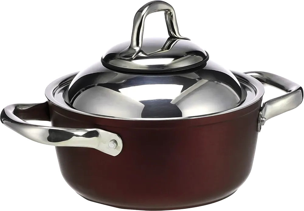 Tefal Saflon Pot, 18 cm, Stainless Steel Handle, Red