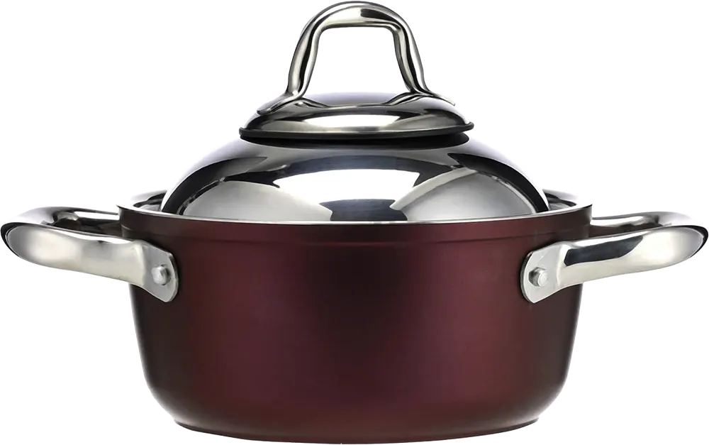 Tefal Saflon Pot, 18 cm, Stainless Steel Handle, Red