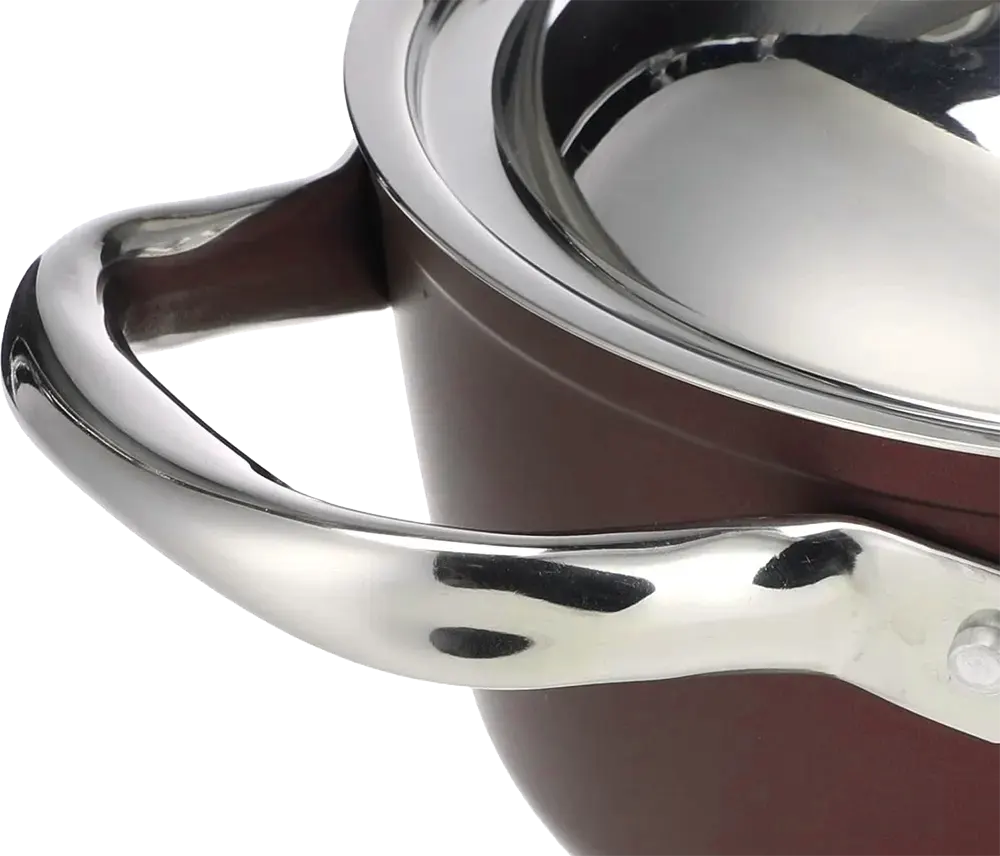 Tefal Saflon Pot, 18 cm, Stainless Steel Handle, Red