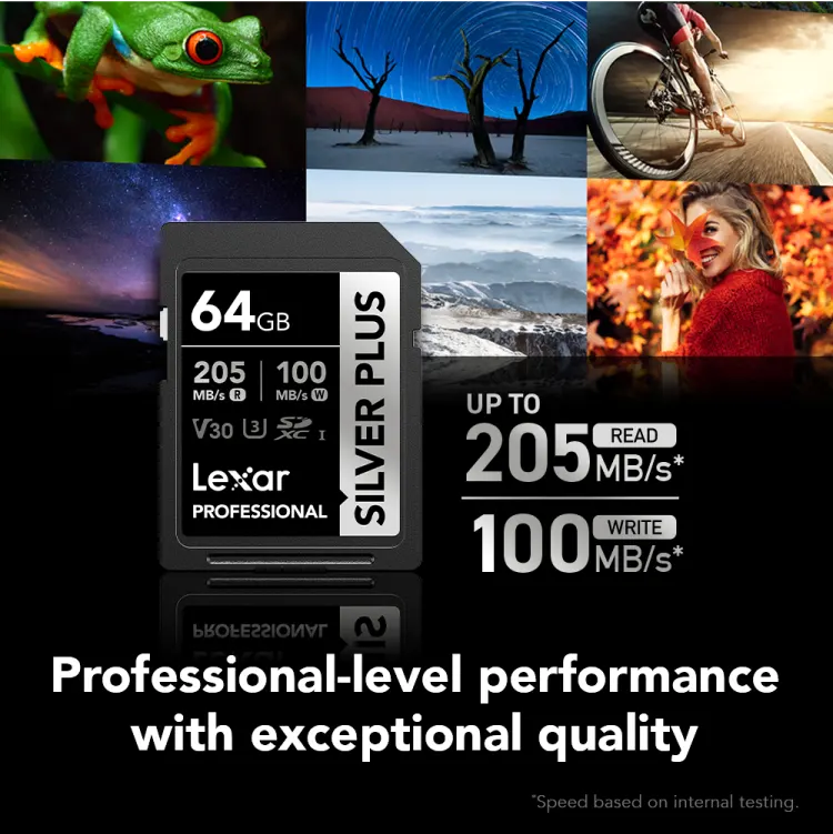 Lexar Professional Silver Plus SD Card, 64GB, SDXC™ UHS-I Type, V30 Rating, Read Speed ​​up to 205MB-s, LSDSIPL064G-BNNNG