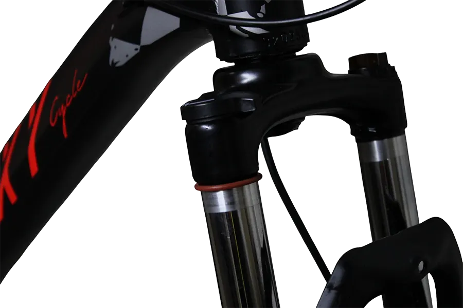 Galaxy A6 Pro Bicycle, Speeds, Size 29