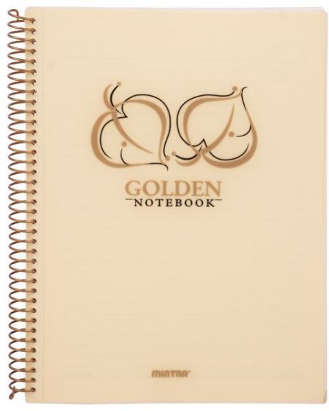 Mintra Gold & Silver NoteBook B5, Lined Ruling 100 Sheets