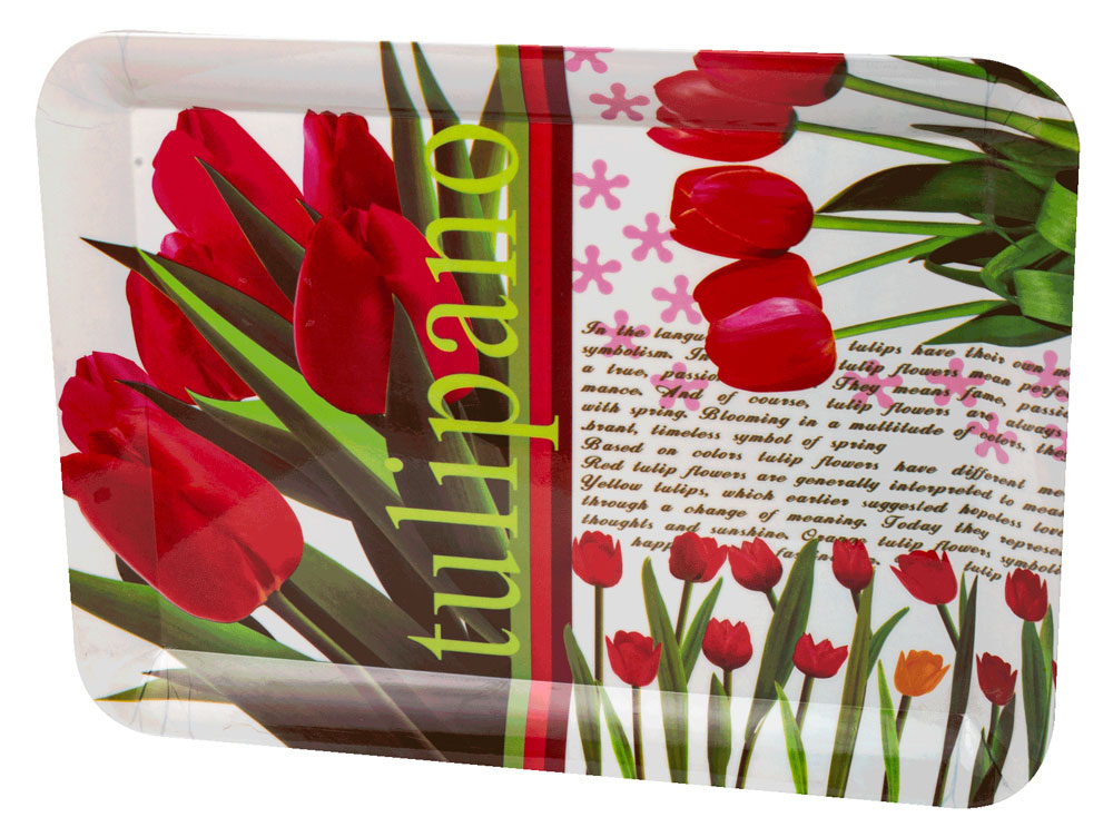 صينية تقديم فطار من الشريف مستطيلة ميلامين - أحمر