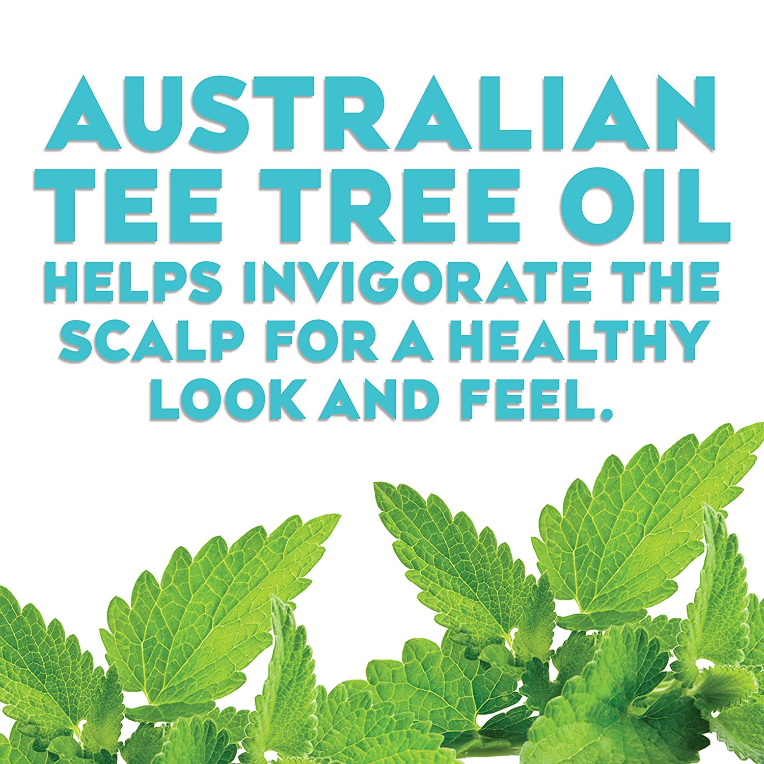 OGX Organics Tea Tree Shampoo 385 ml