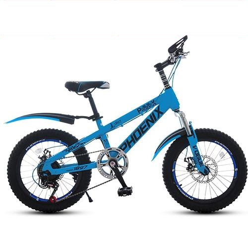 Bike PHOENIX BMX20