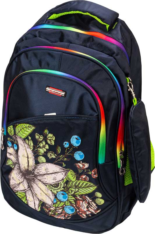 شنطة ظهر باللون الأسود