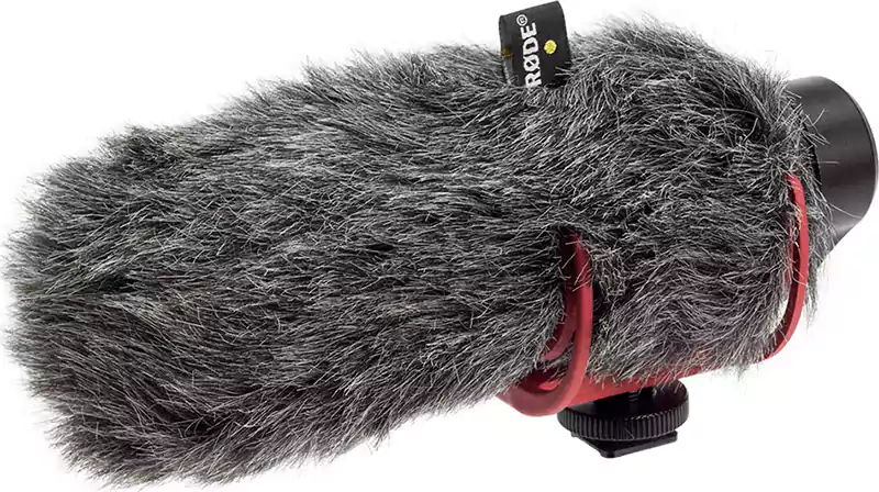 Rode Wired Condenser Microphone, Portable, Camera Microphone, Black, VideoMic GO