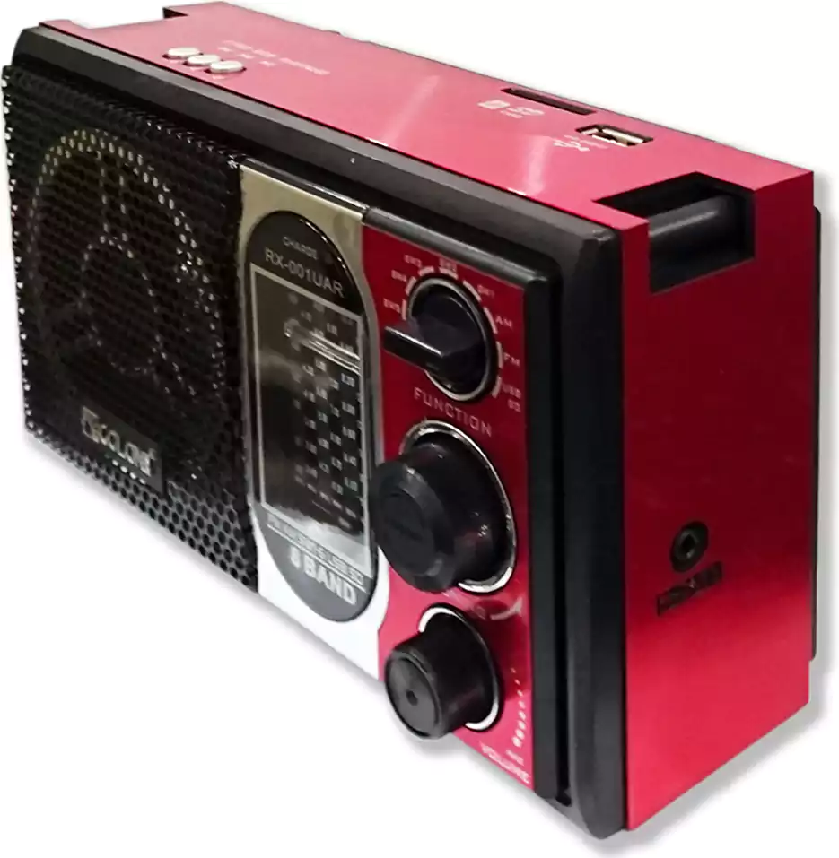 Golon Radio With Flash Memory  RX-001UAR